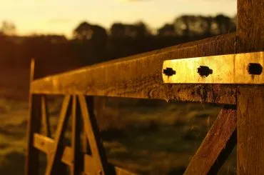 Gate in field